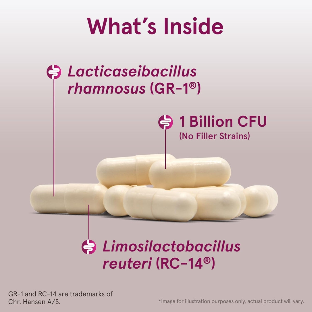 Jarrow Formulas Fem-Dophilus 60 Veggie Capsules 1 Billion CFU 2 Clinically Effective Strains, Korea